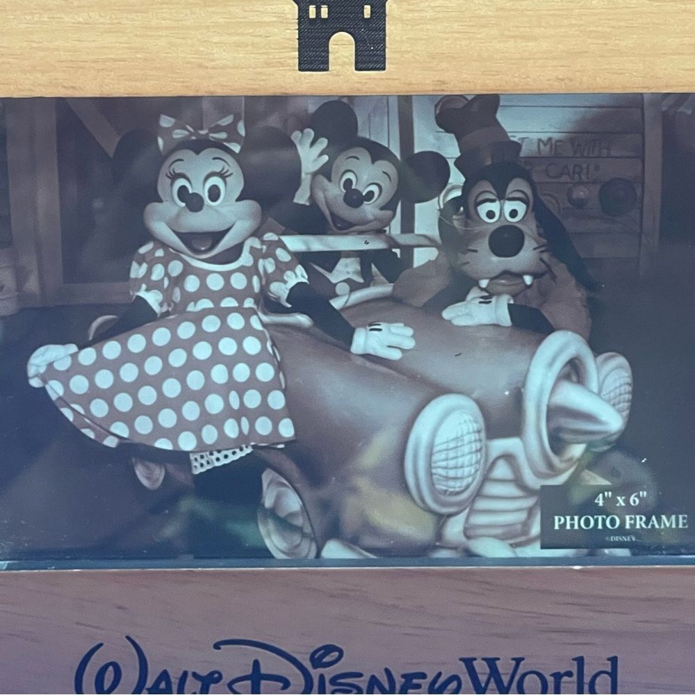 Walt Disney World Frame - Picture 9 of 9